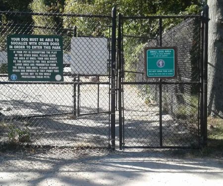 Small Dog Area