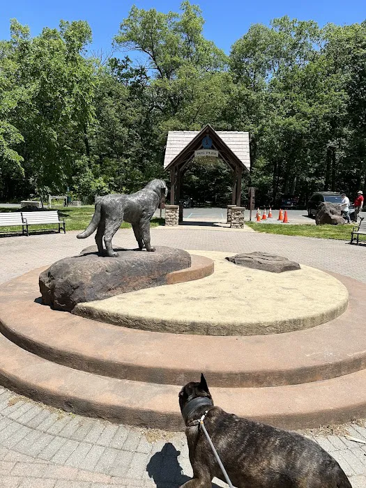 Large Dog Area Picture 3