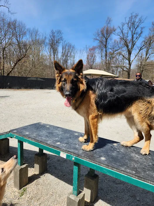 Large Dog Area Picture 7