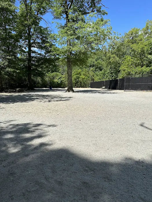 Large Dog Area Picture 1