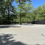 Large Dog Area