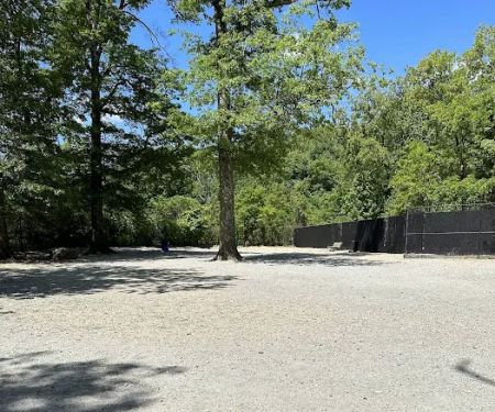 Large Dog Area