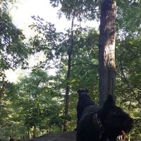 Wildflower Preserve ico