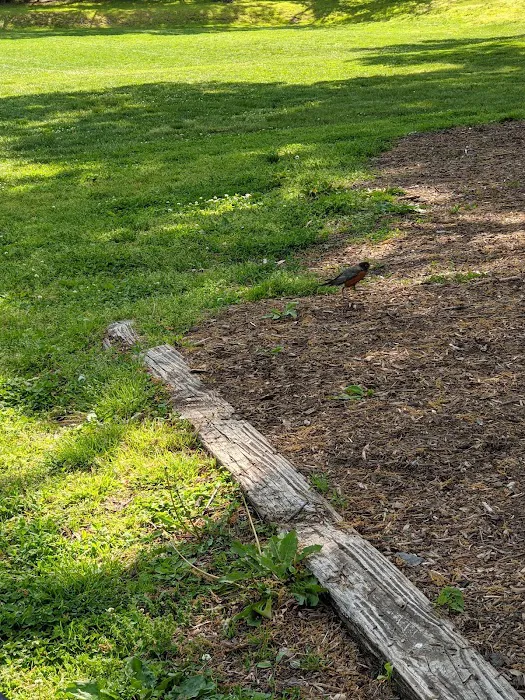 Farrell Field Picture 1