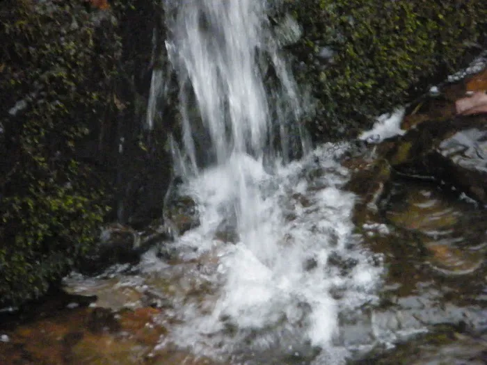 Maple Falls Cascades Picture 6