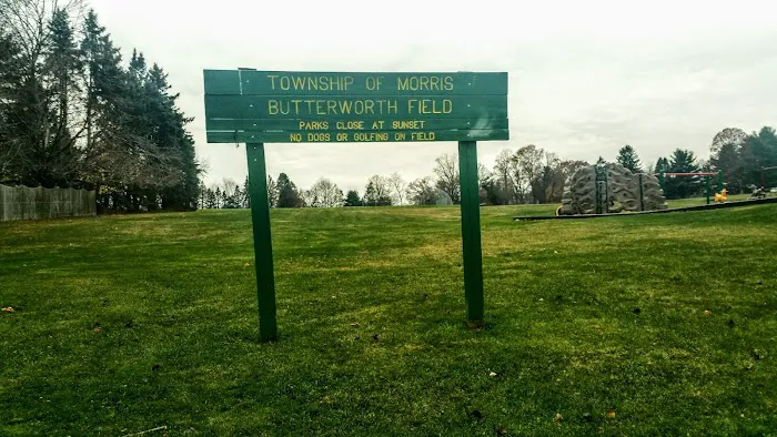 Butterworth Field Picture 1