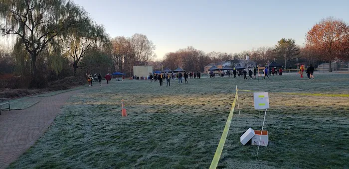 Ginty Field Picture 4