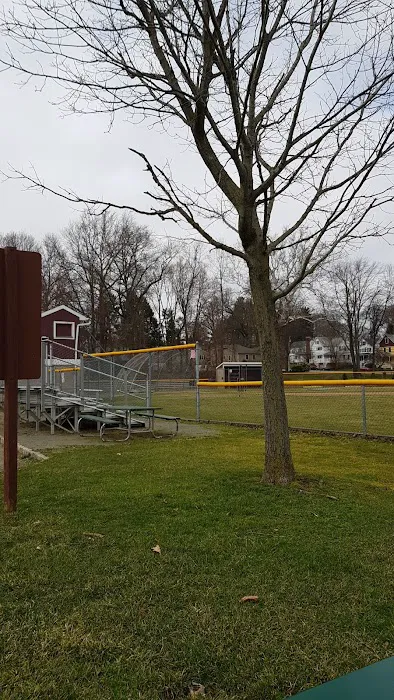 Ginty Field Picture 5