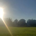 Ginty Field