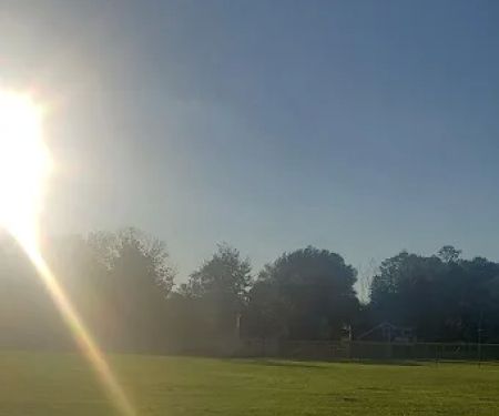Ginty Field