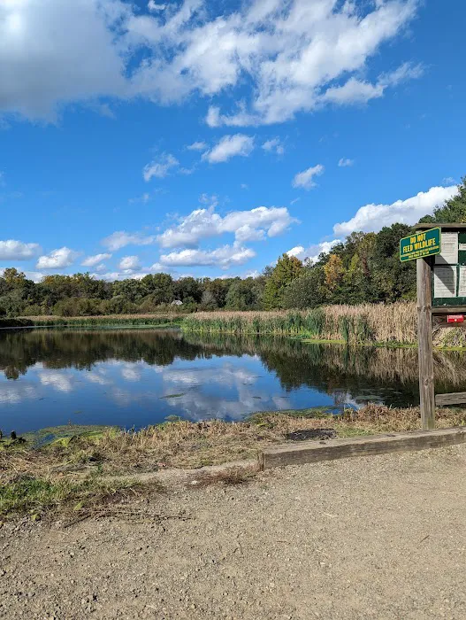Kitchell Pond Picture 6