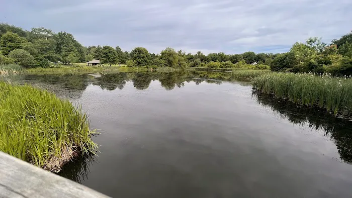 Kitchell Pond Picture 3