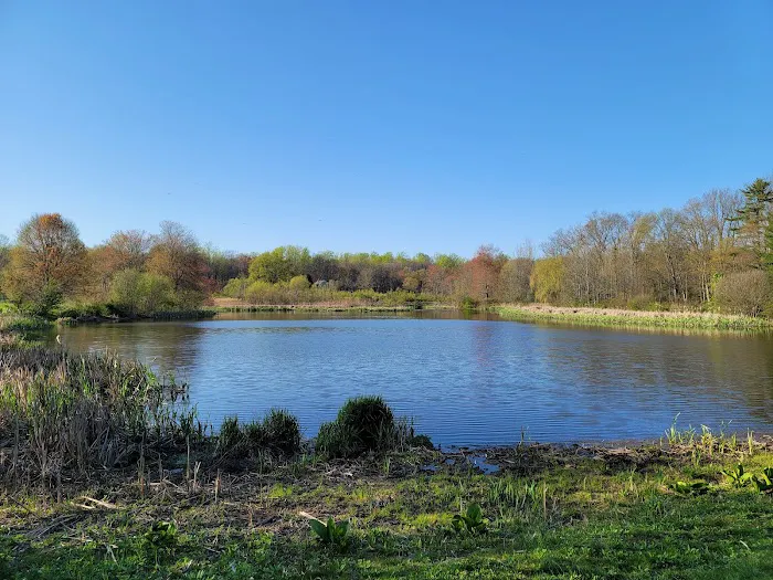 Loantaka Pond Area, Morris County Park Picture 5