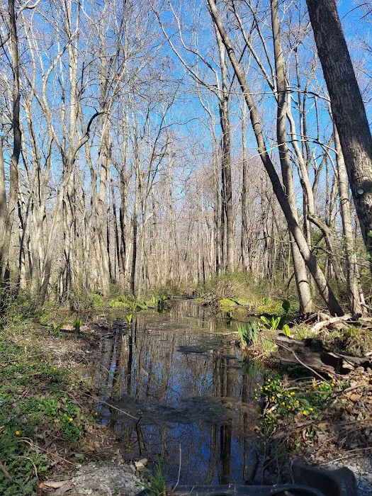 Loantaka Brook Reservation Picture 6