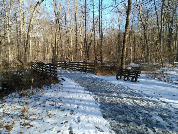 Loantaka Brook Reservation Picture 10