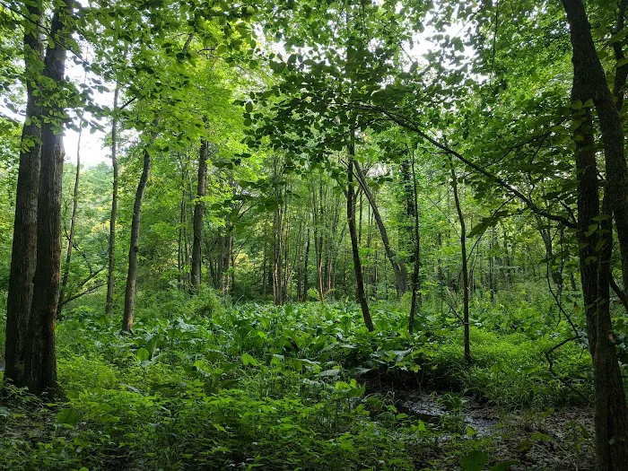 Loantaka Brook Reservation Picture 3