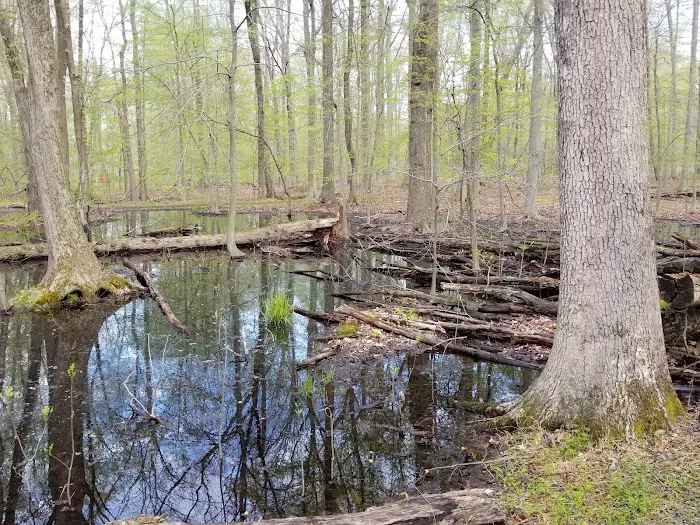 Loantaka Brook Park, Madison, NJ Picture 9