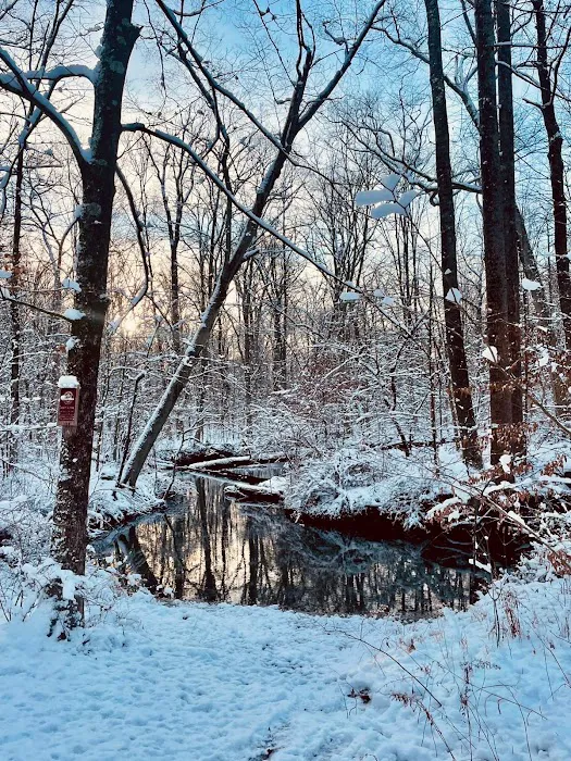 Loantaka Brook Reservation Parking Picture 2