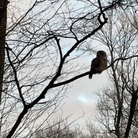 Loantaka Brook Reservation Parking ico