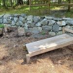 Kleitman Woods Park