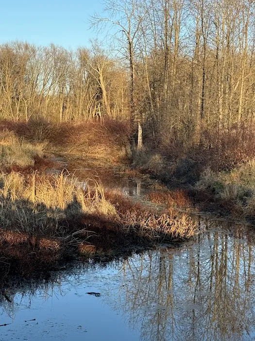 Pochuck Boardwalk Suspension Bridge Picture 8