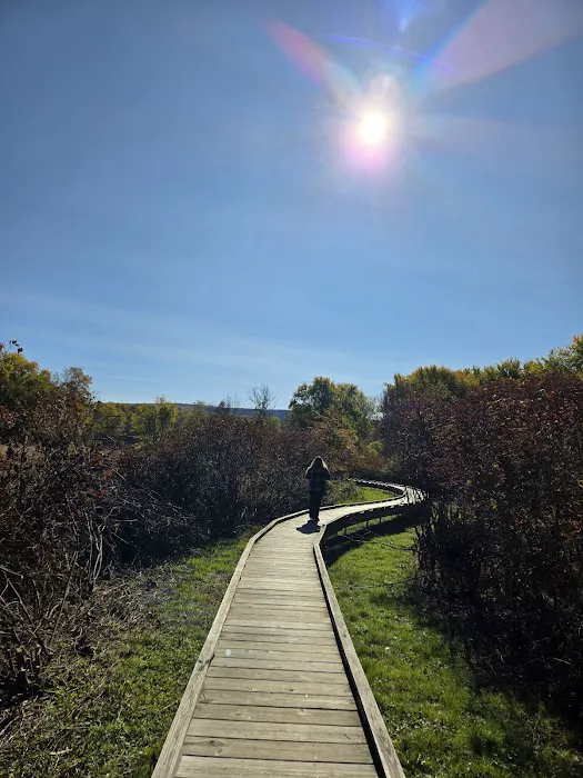 Pochuck Boardwalk Suspension Bridge Picture 4