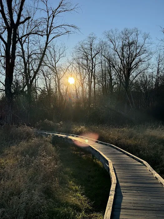 Pochuck Boardwalk Suspension Bridge Picture 9