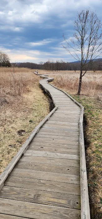 Pochuck Boardwalk Suspension Bridge Picture 1