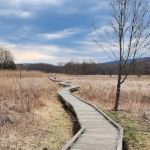 Pochuck Boardwalk Suspension Bridge