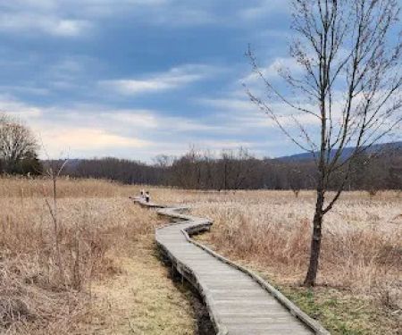 Pochuck Boardwalk Suspension Bridge