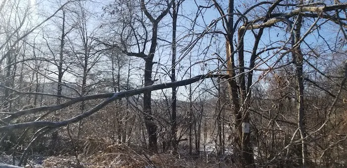 Maple Grange Park Picture 1