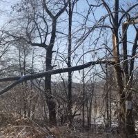 Maple Grange Park ico
