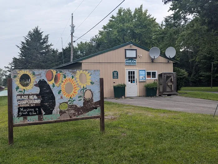 Black Bear RV Park Picture 4