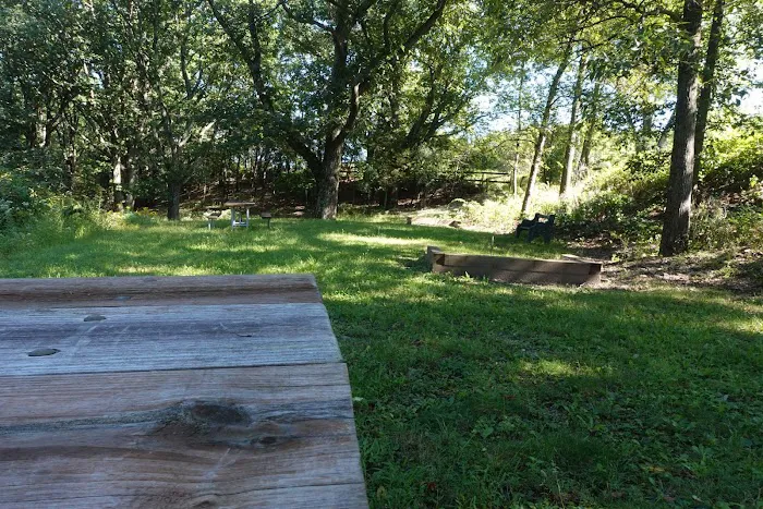 Black Bear RV Park Picture 5