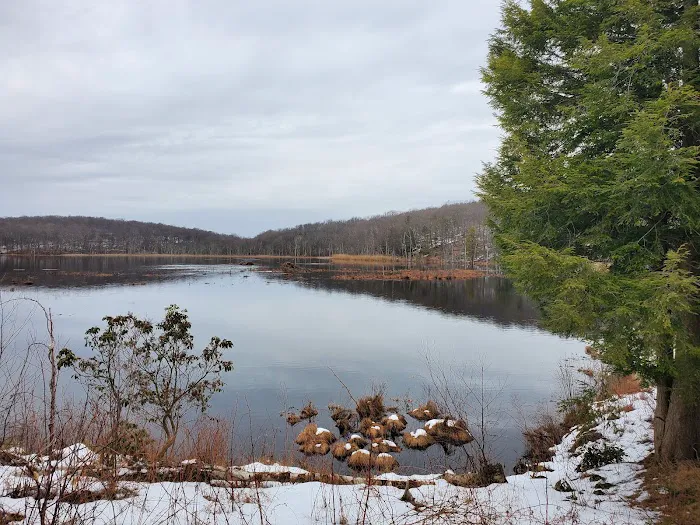 Hamburg Mountain Wildlife Management Area Picture 2