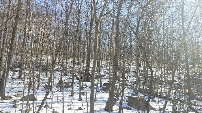 Hamburg Mountain Wildlife Management Area Picture 10