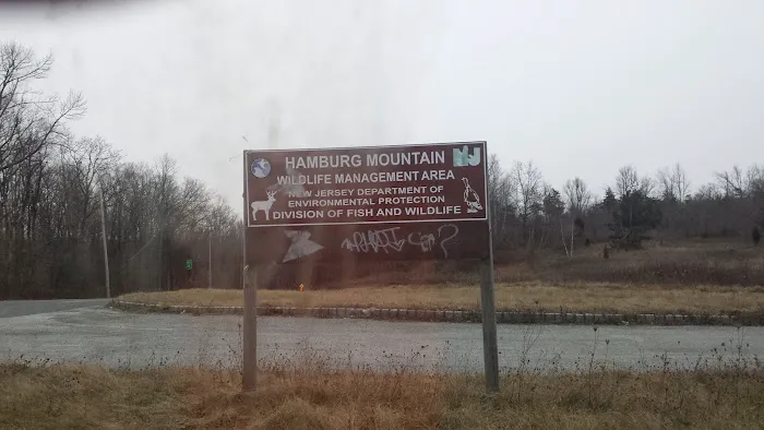 Hamburg Mountain Wildlife Management Area Picture 1
