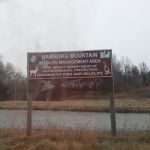 Hamburg Mountain Wildlife Management Area
