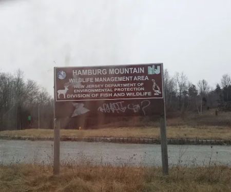 Hamburg Mountain Wildlife Management Area