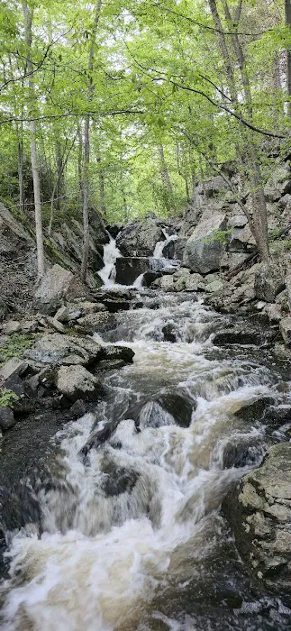 Paradise Valley Homestead Picture 9