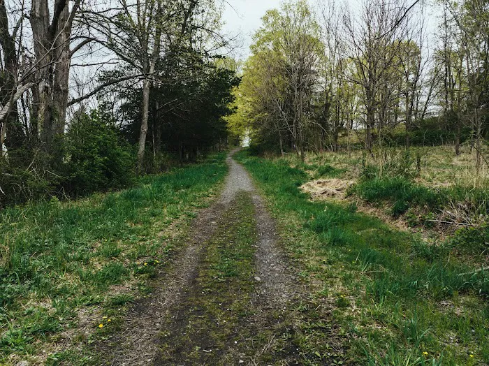 Wetland Trail Picture 3