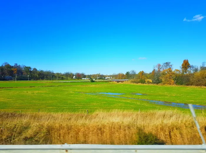 Wetland Trail Picture 1