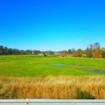 Wetland Trail