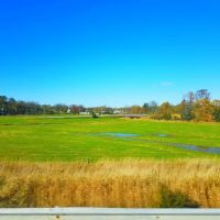 Wetland Trail ico