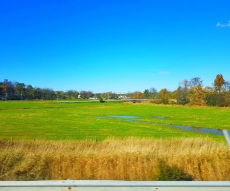 Wetland Trail