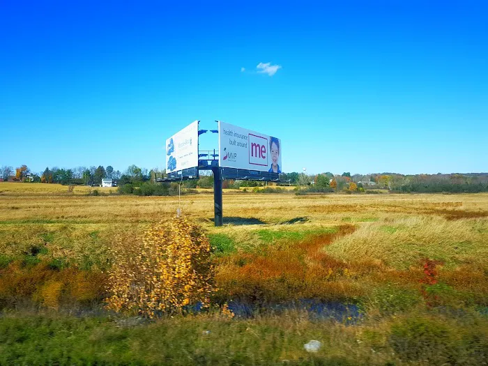 Wetland Trail Picture 2