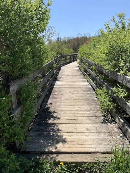 Wetland Trail Picture 5