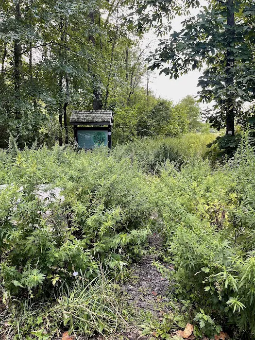 Wetland Trail Picture 6