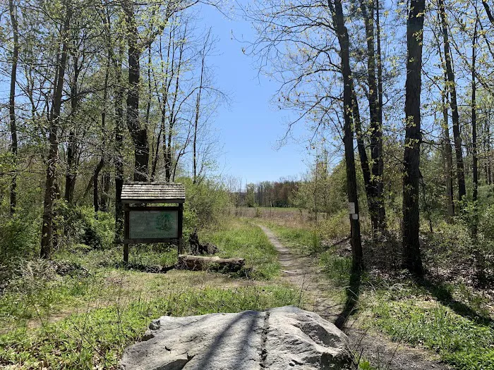 Wetland Trail Picture 7
