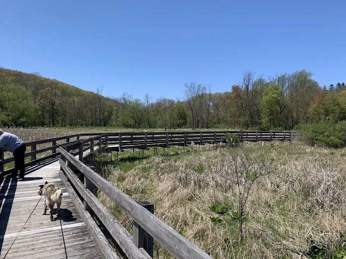 Wetland Trail Picture 4